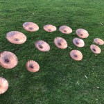 f. Copper Poppies (Avaiable individually and in sets of 3 and 5) (2).jpg